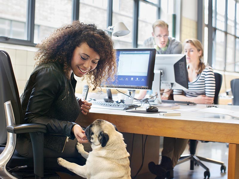 Young woman petting dog at office desk