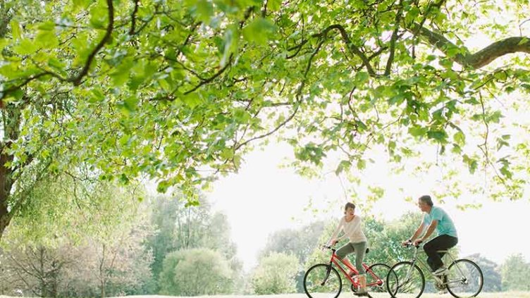 Cycling in greenness