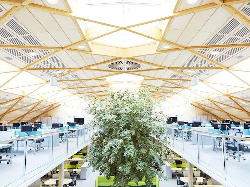 greenery in the office