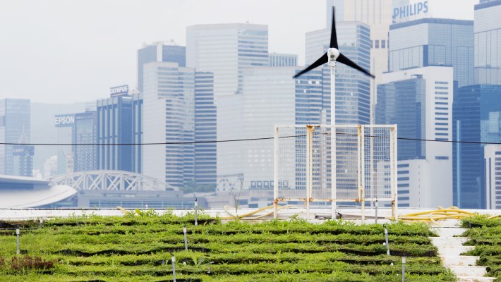 Windmill view against high rise buildings