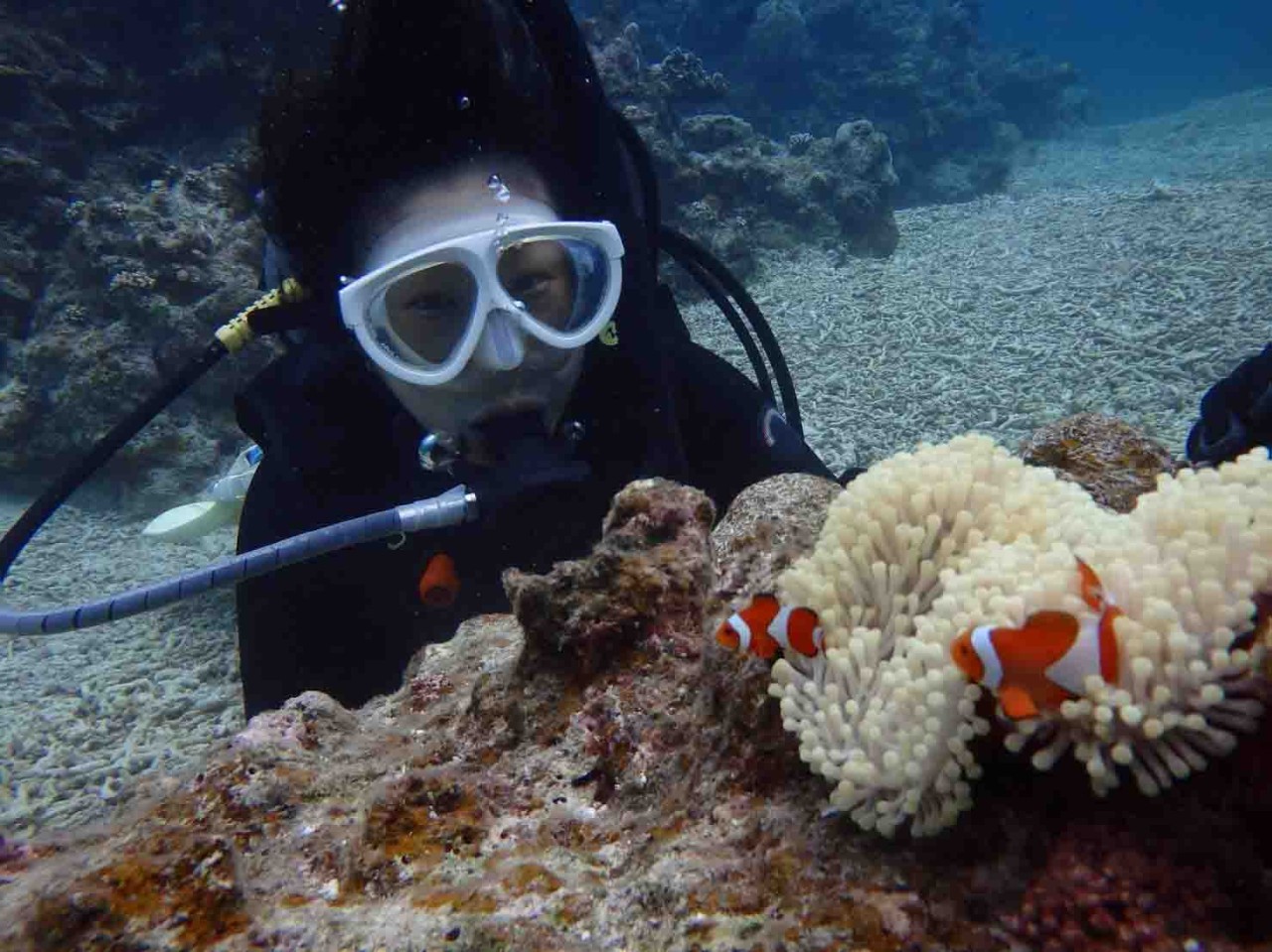 Fumi Ikegami enjoying scuba diving