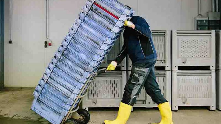 A worker taking the fresh meal for cold storage