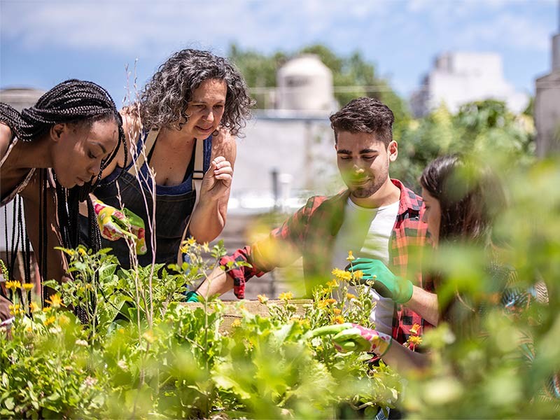 Group of people in a community garden