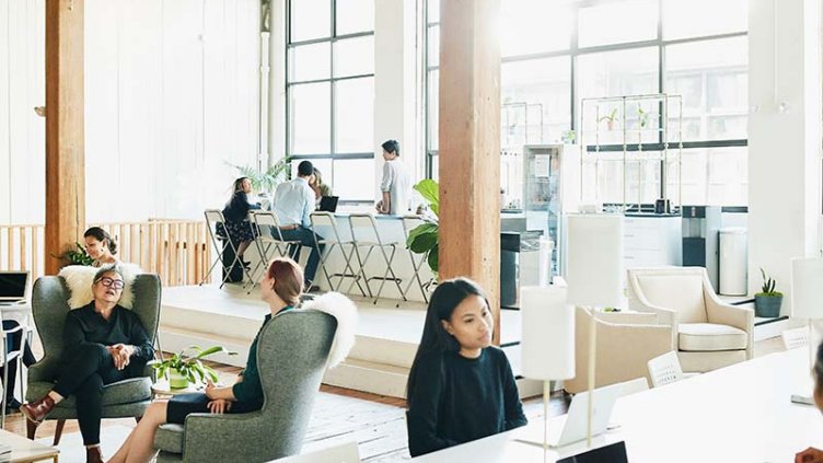 Diverse businesspeople working in a sunny, collaborative office space with plants and a variety of comfortable seating