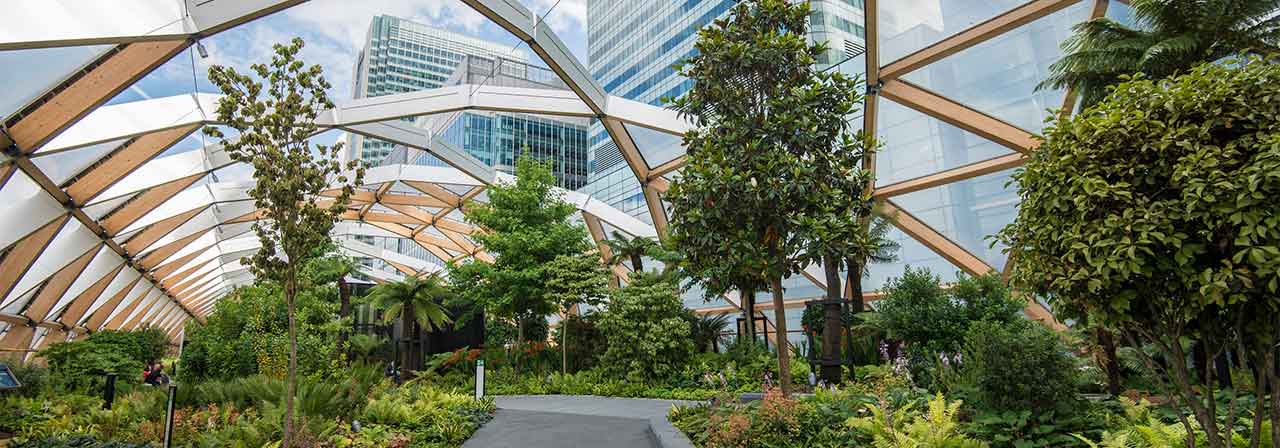 indoor park covered with glass