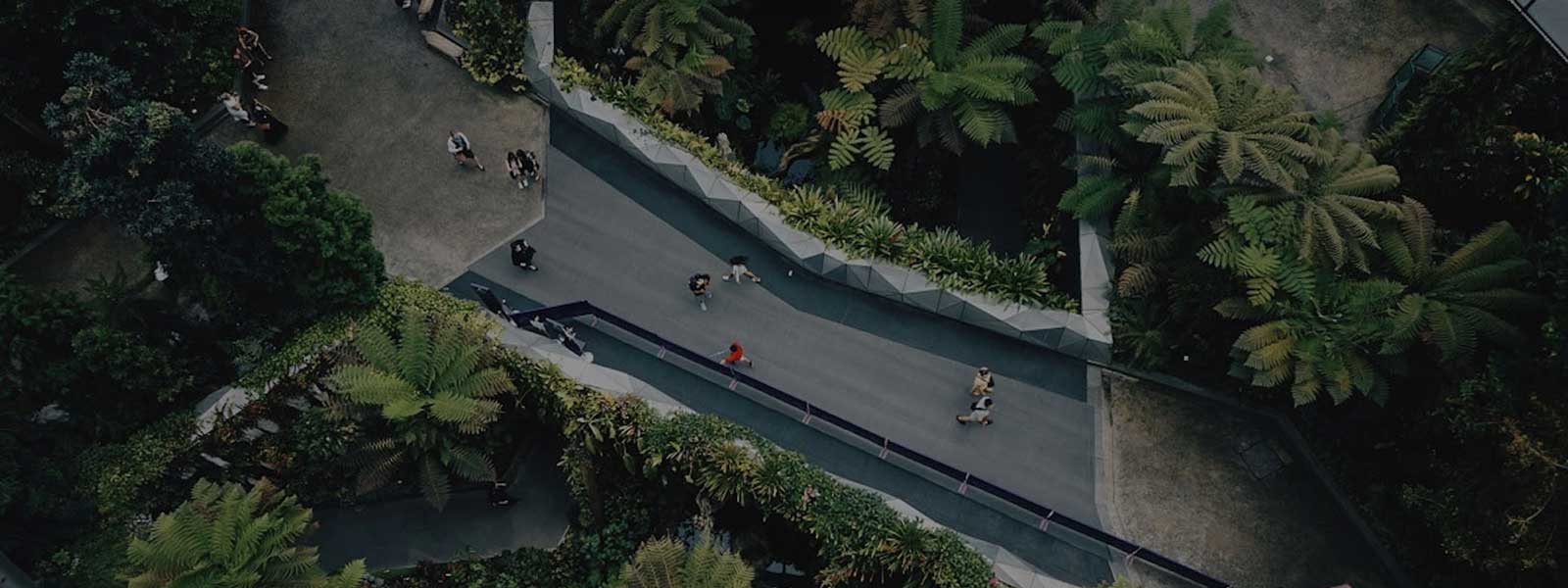 People walking on path through trees